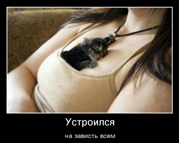 Талисман на счастье
