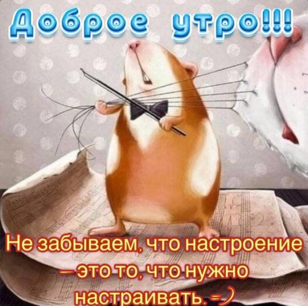 92df0de0c6e8c1d71780d79aad5cc108