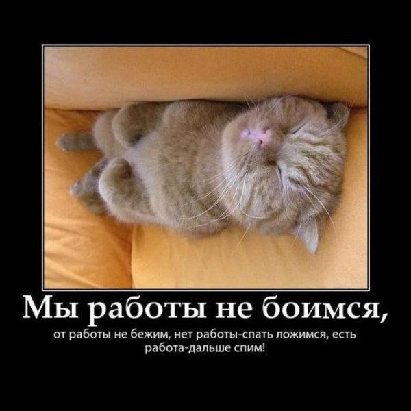 IMG 20240913 110024 964