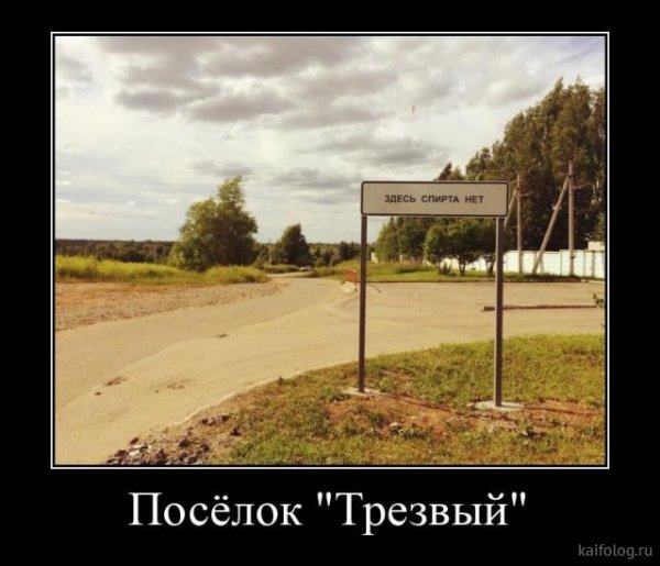 picture_379875617