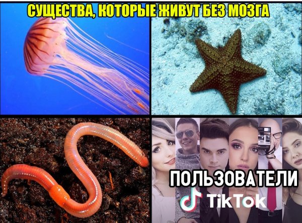 ATH1CFc1M5Y