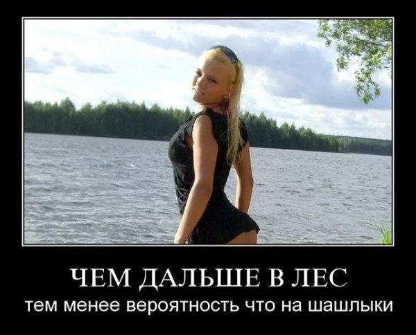 Чем дальше в лес