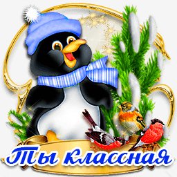 getImage(294)