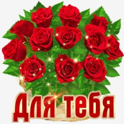 розы