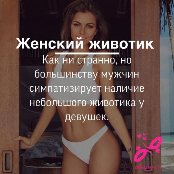 животик 081000
