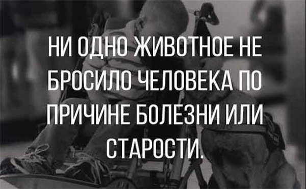 IMG 20260701 191350