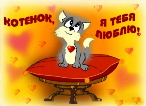 Котенок,я тебя люблю!