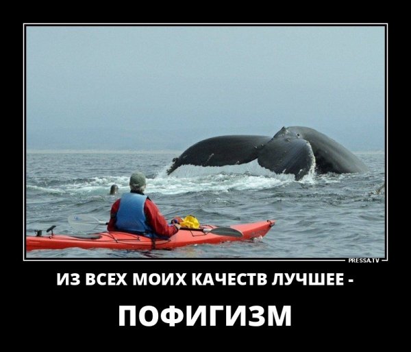 Пофигизм