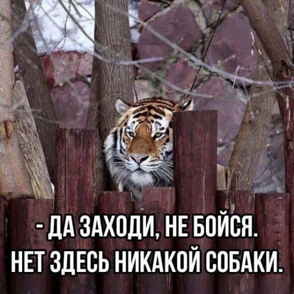 7f0c8a1dbc 00000
