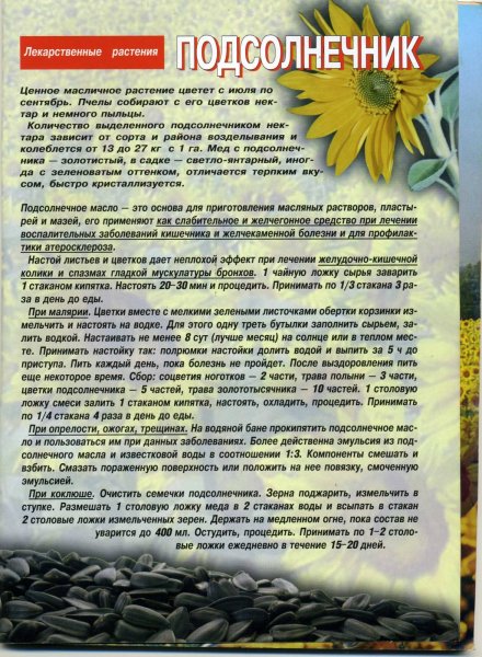 Подсолнечник