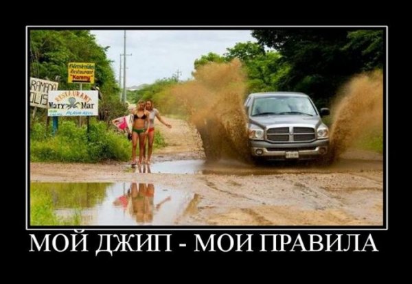 Мои правила