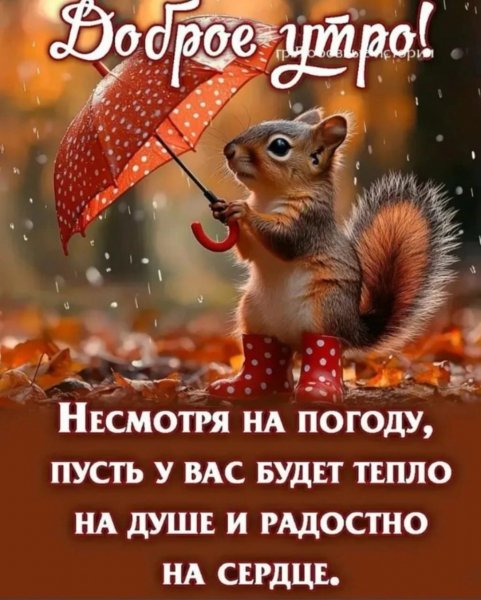 IMG-20251102-WA0016