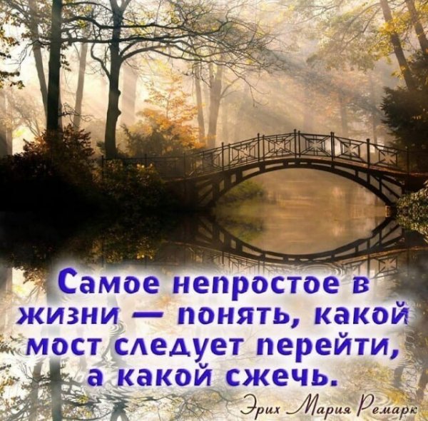 image (2) (23)