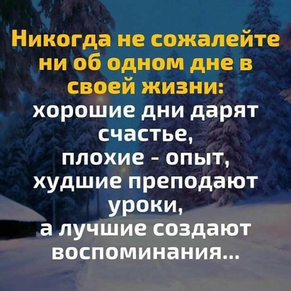 image (2) (17)