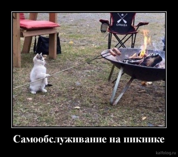 picture_379453387
