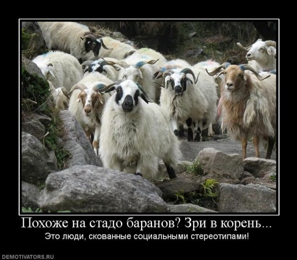 Зри в корень...