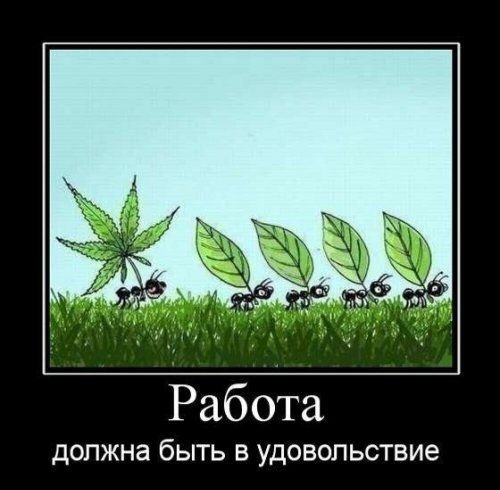 Работа