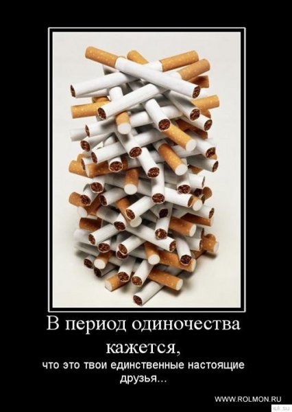 Demotivatory (75)