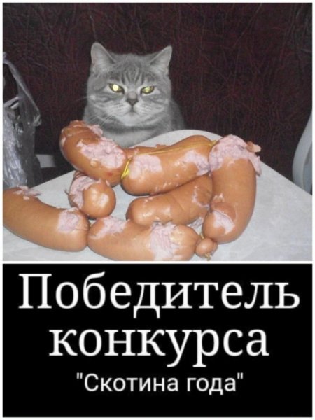 1b4c8c8a23 19590776