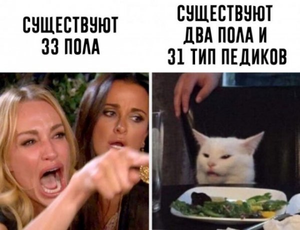 p.600.600.0