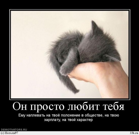Д35