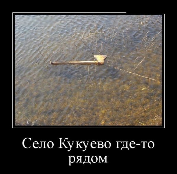IMG 20160812 163057 5