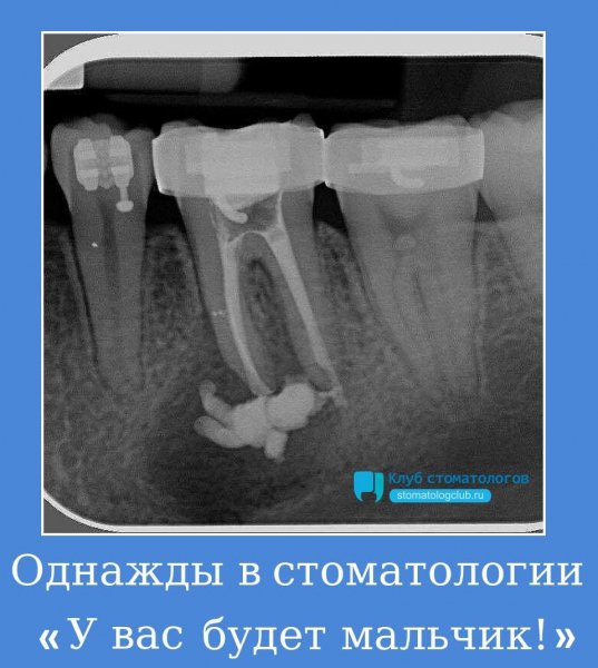 fa8ef32e45aac645538ec6