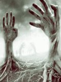 hands255F