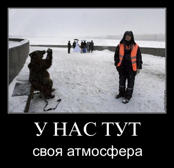 pics