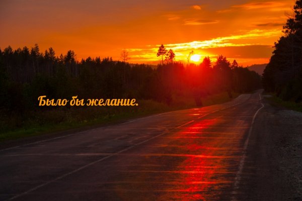 images 13833