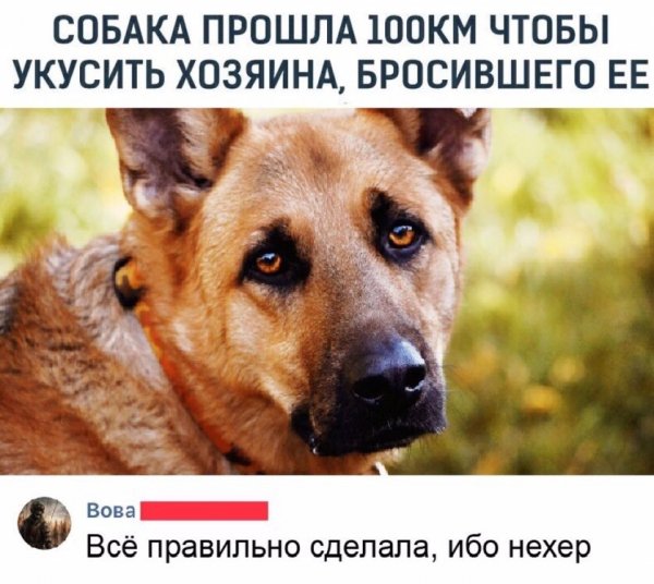 месть дело такое