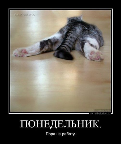 pics