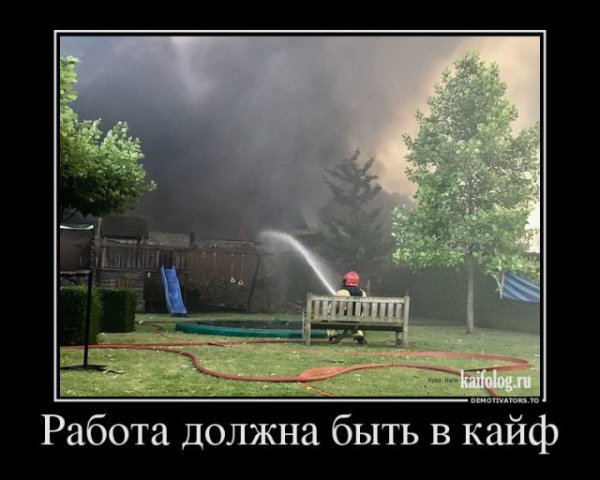 picture_400038753