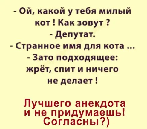 image(2)