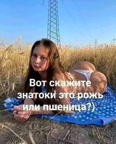 picture_411053675