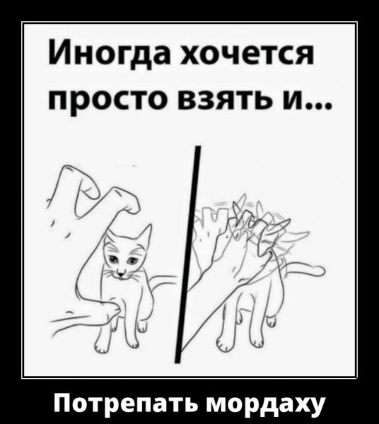 Про кота
