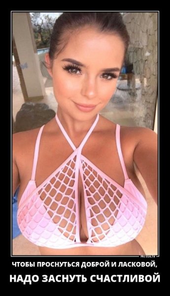 picture_249201681