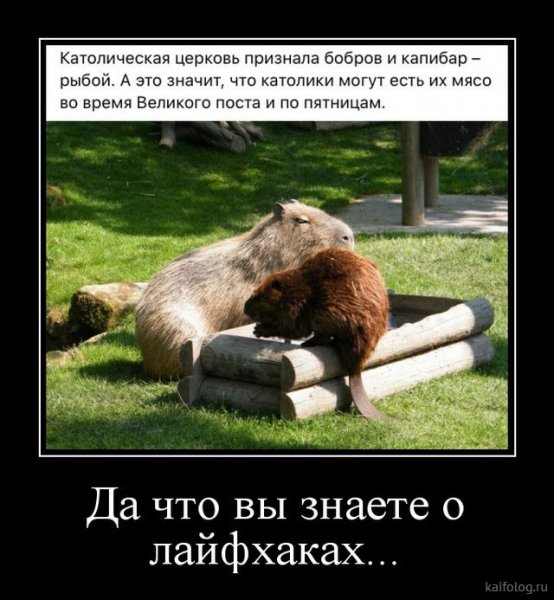 picture_379943901