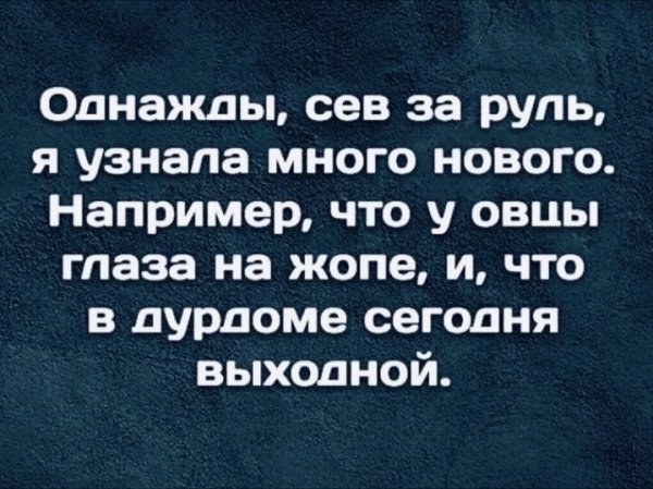 IMG 20260408 162545