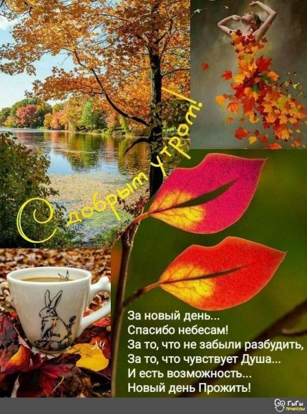 IMG-20210909-WA0000