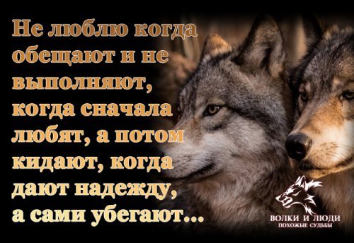 picture_212201623