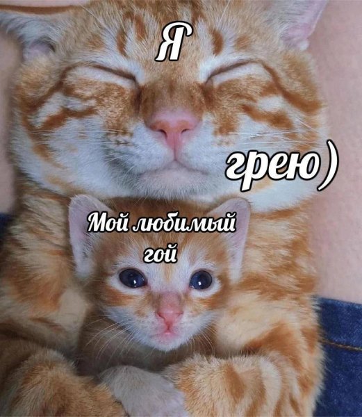 picture_412869483