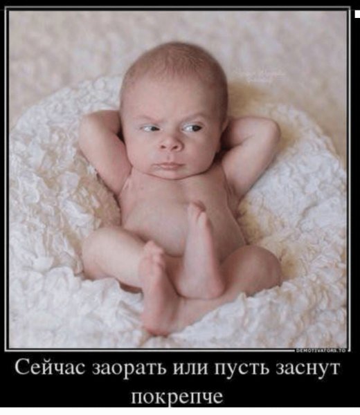 picture_387169394
