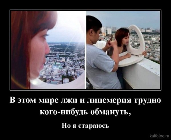 picture_381659508