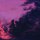 absinthe-win-2.0.1