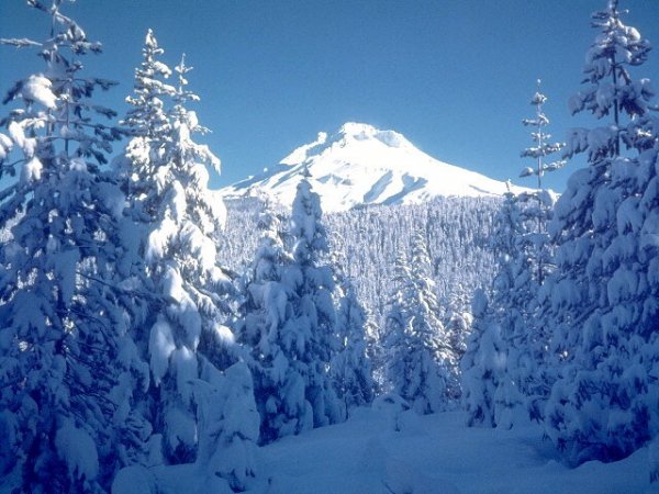 pic quark 1628187221994