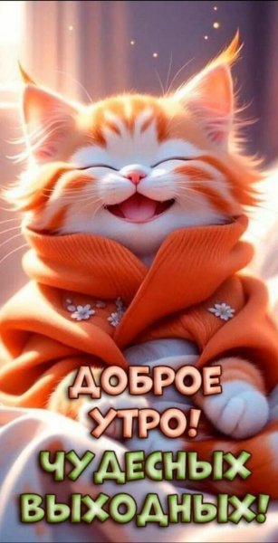 Всем вам!