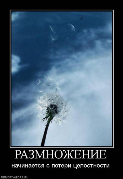 Demotivator (89)-
