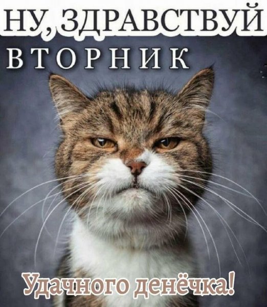 Всем вам!