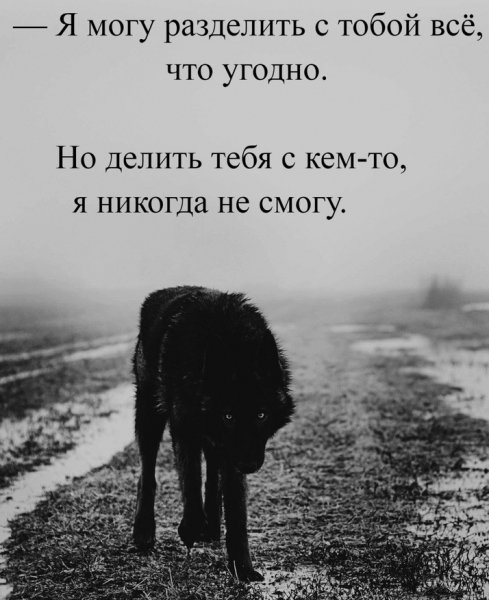 Я могу разделить с тобой всё, что угодно. Но делать тебя с